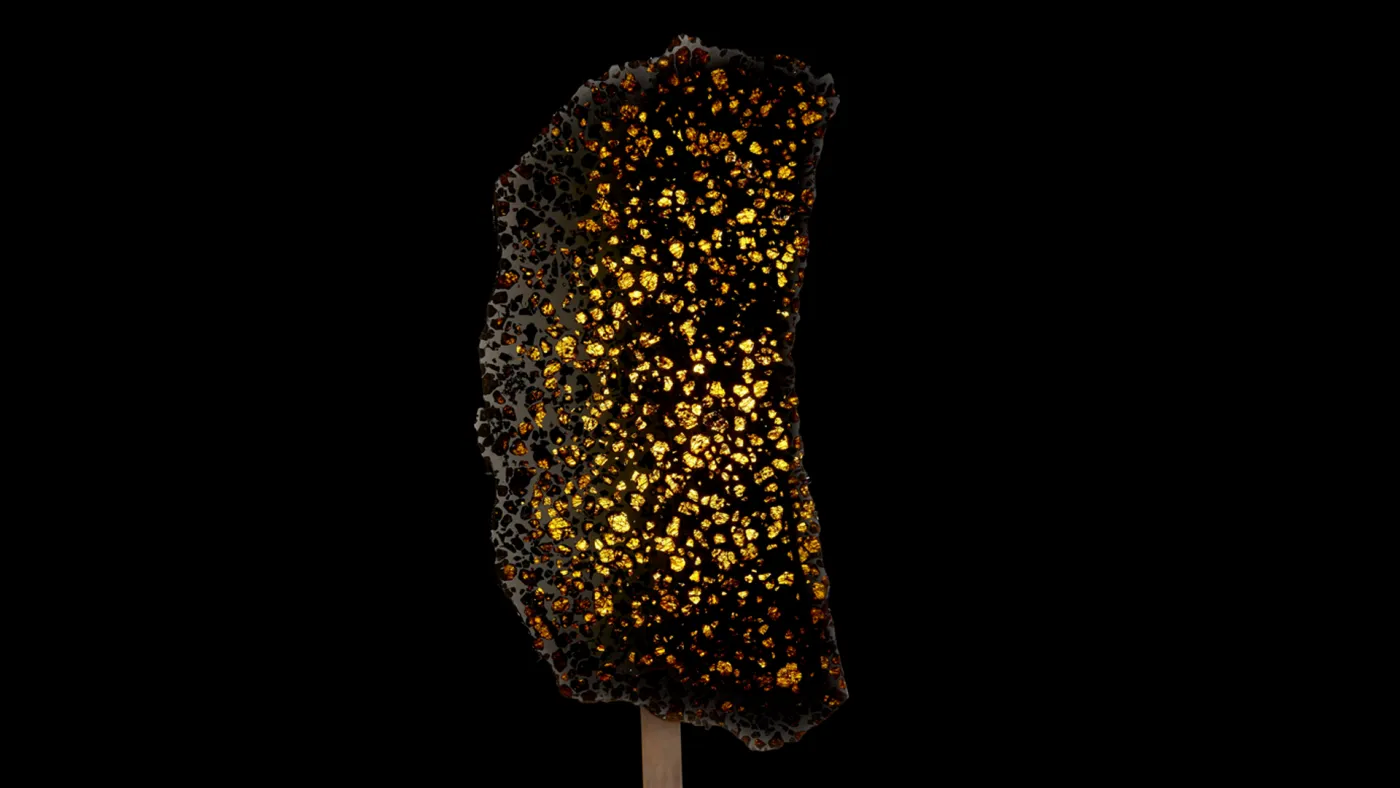 የፉካንግ ፓላሳይት (The Fukang Pallasite)